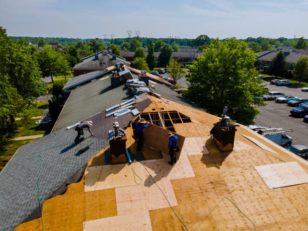 Best Storm Damage Roof Repair  in Kingston, IL