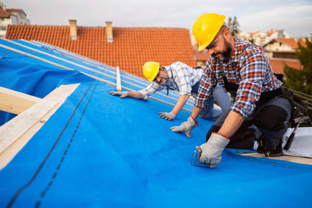 Best New Roof Installation  in Kingston, IL