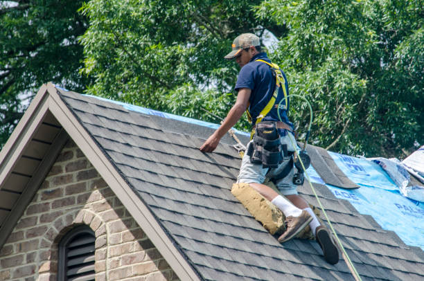 Best Roof Repair Services  in Kingston, IL